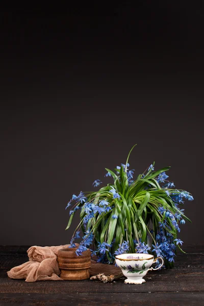 Thee met citroen en boeket van blauwe Primula op tafel — Stockfoto