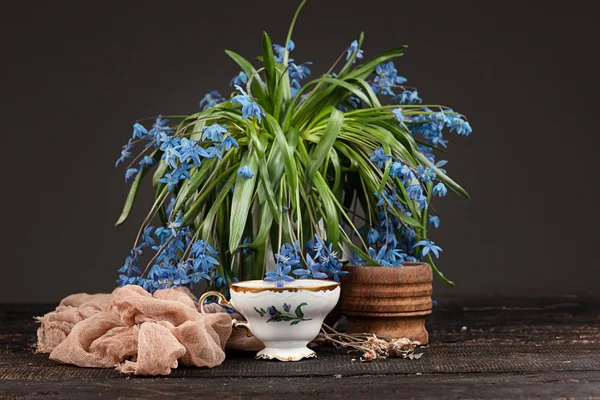 Thee met citroen en boeket van blauwe Primula op tafel — Stockfoto