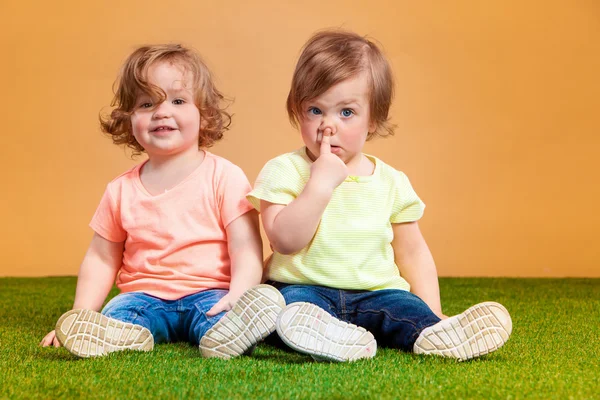 Stock image Happy funny girl twins sisters playing and laughing