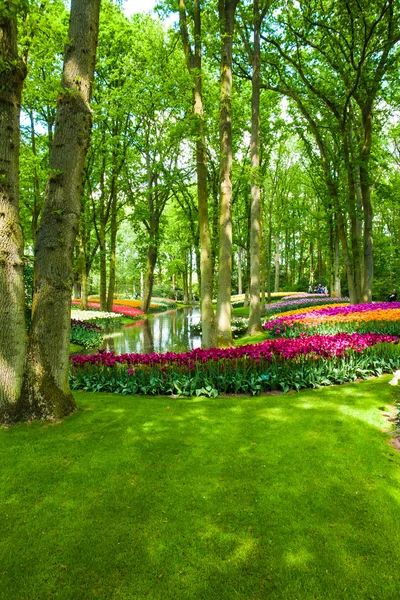Tulp veld in de tuinen van de Keukenhof, Lisse, Nederland — Stockfoto