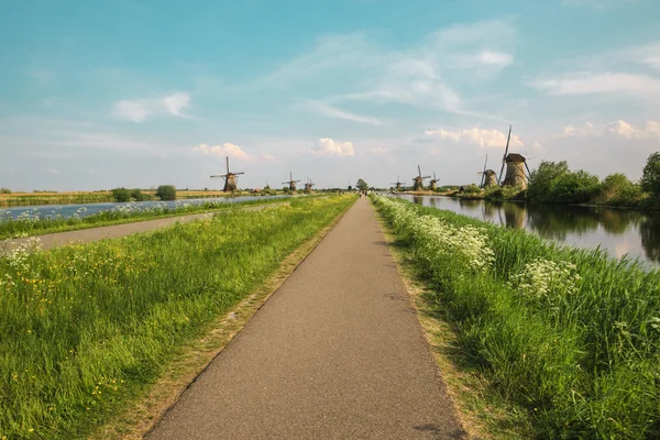 伝統的なオランダ風車とオランダ、フォア グラウンドで緑の草 — ストック写真