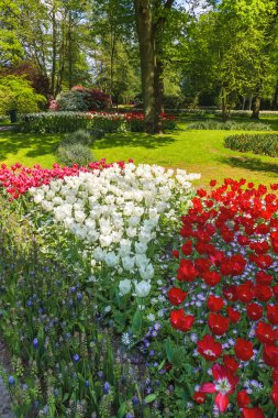 Lale alan Keukenhof bahçeleri, Lisse, Hollanda