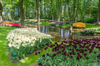 Lale alan Keukenhof bahçeleri, Lisse, Hollanda