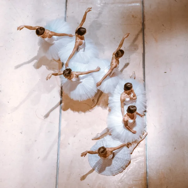 As sete bailarinas no chão — Fotografia de Stock