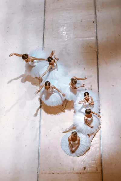 Les sept ballerines sur le sol — Photo
