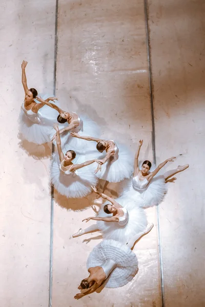 Семь балерин на этаже — стоковое фото