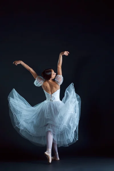 Retrato da bailarina clássica em vestido branco sobre fundo preto — Fotografia de Stock