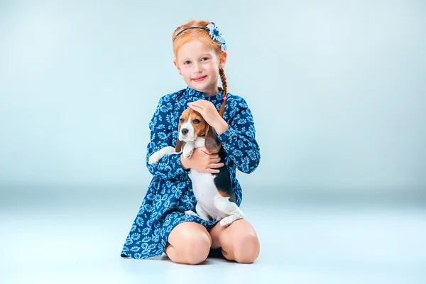La fille heureuse et un chiot beagle sur fond gris — Photo