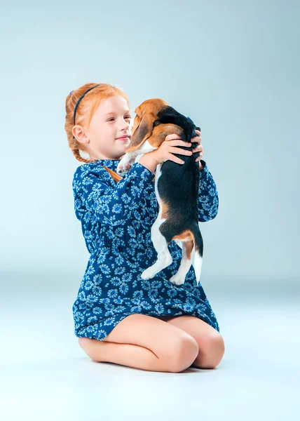 The happy girl and a beagle puppie on gray background — Stock Photo, Image