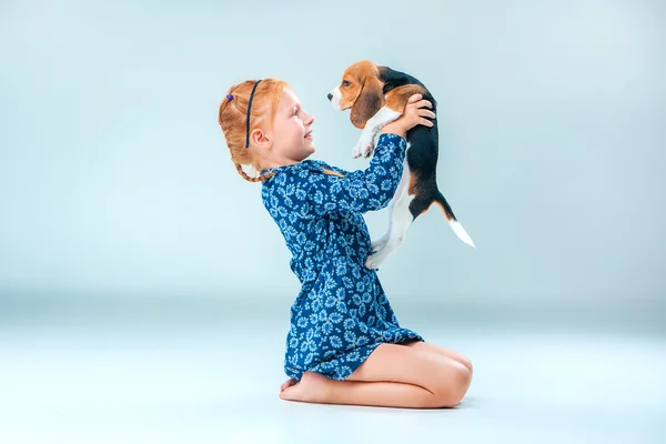 Szczęśliwa dziewczyna i szczeniąt rasy beagle na szarym tle — Zdjęcie stockowe