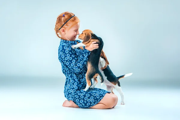 La fille heureuse et un chiot beagle sur fond gris — Photo