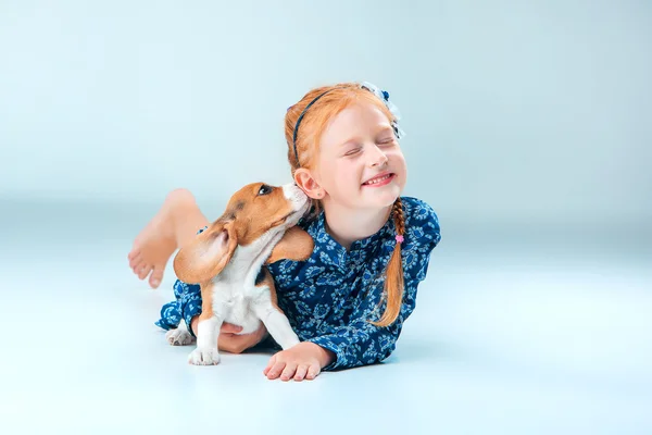 The happy girl and a beagle puppie on gray background — Stock Photo, Image