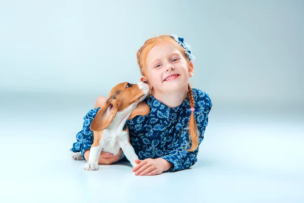 The happy girl and a beagle puppie on gray background — Stock Photo, Image