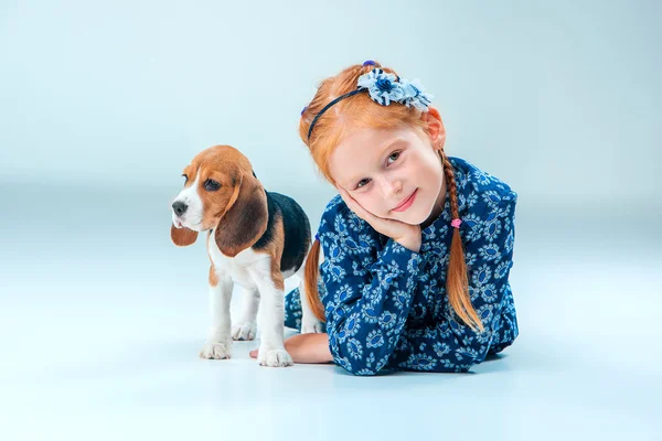 The happy girl and a beagle puppie on gray background — Stock Photo, Image