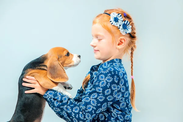 The happy girl and a beagle puppie on gray background — Stock Photo, Image