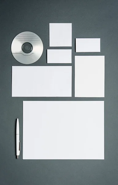 Modèle d'affaires maquillé avec cartes, papiers, disque — Photo