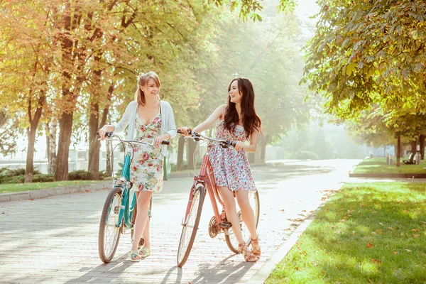 As duas meninas com bicicletas no parque — Fotografia de Stock