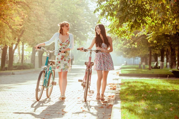 공원에서 자전거와 두 어린 소녀 — 스톡 사진