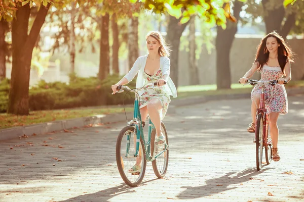Две молодые девушки с велосипедами в парке — стоковое фото