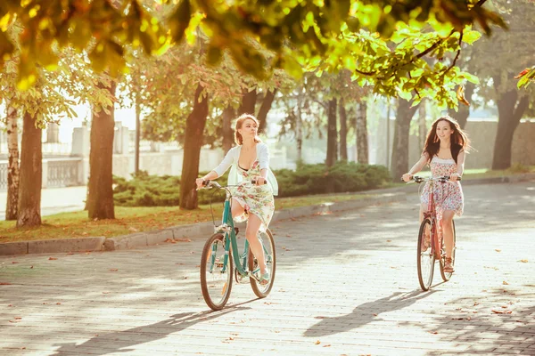 De twee jonge meisjes met fietsen in park — Stockfoto