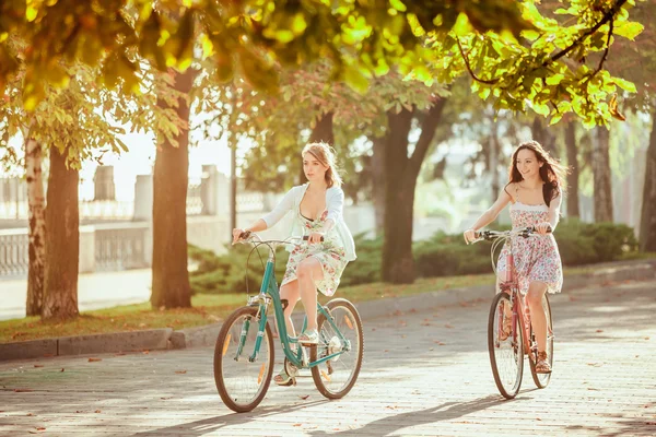 De twee jonge meisjes met fietsen in park — Stockfoto