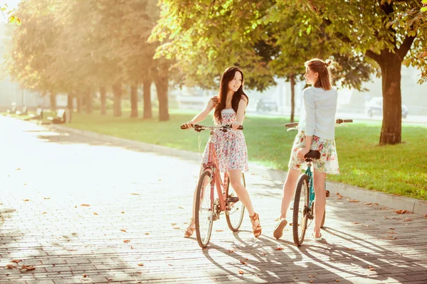 Las dos chicas jóvenes con bicicletas en el parque —  Fotos de Stock