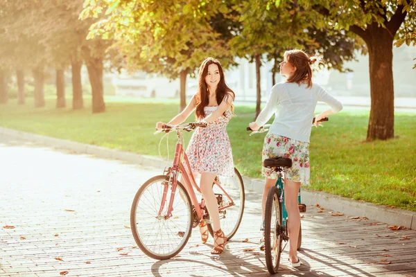 Las dos chicas jóvenes con bicicletas en el parque —  Fotos de Stock