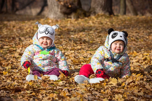Две маленькие девочки сидят в осенних листьях — стоковое фото