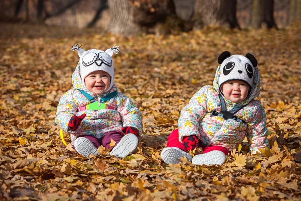 The two little baby girls sitting in autumn leaves — Stock Photo, Image