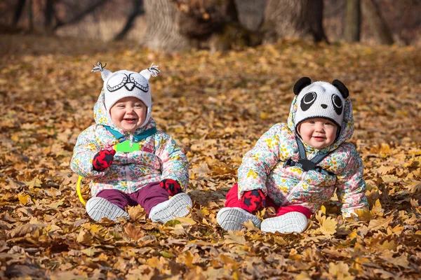 Två lite baby flickor sitter i höstlöv — Stockfoto