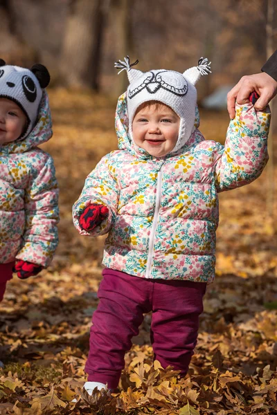 Две маленькие девочки стоят в осенних листьях — стоковое фото