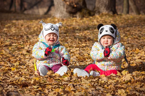 Две маленькие девочки сидят в осенних листьях — стоковое фото