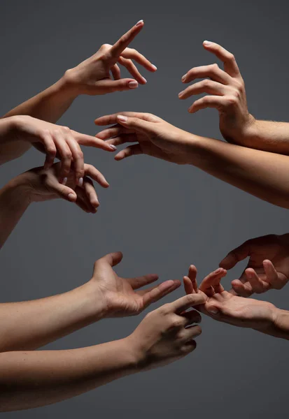 Hands of peoples crowd in touch isolated on grey studio background. Concept of human relation, community, togetherness, symbolism — Stock Photo, Image