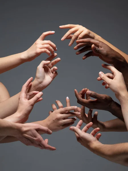 Hands of peoples crowd in touch isolated on grey studio background. Concept of human relation, community, togetherness, symbolism