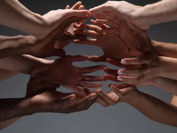 Hands of peoples crowd in touch isolated on grey studio background. Concept of human relation, community, togetherness, symbolism