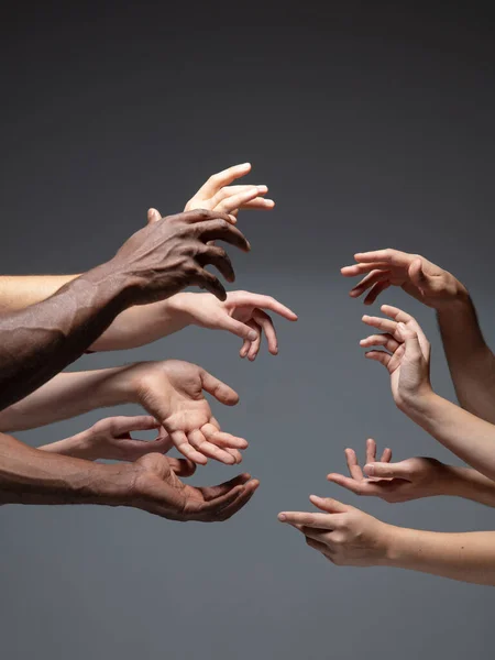 Las manos de la gente se agolpan en contacto aisladas sobre fondo gris del estudio. Concepto de relación humana, comunidad, unidad, simbolismo — Foto de Stock