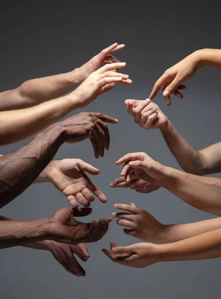 Auf grauem Studiohintergrund drängen sich Hände von Menschen in Berührung. Konzept menschlicher Beziehung, Gemeinschaft, Zusammengehörigkeit, Symbolik — Stockfoto
