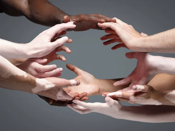 Mãos de pessoas diferentes em contato isolado no fundo do estúdio cinza. Conceito de relação humana, comunidade, união, inclusão — Fotografia de Stock