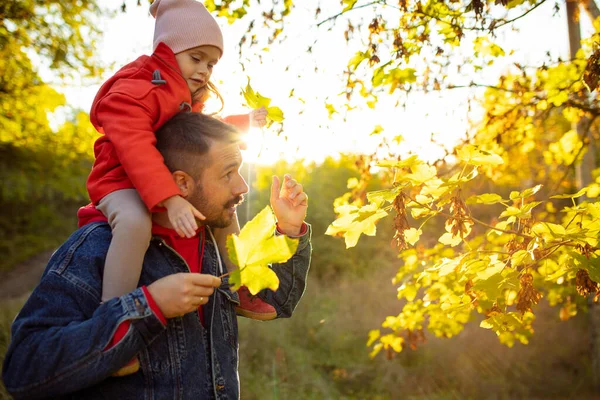 Mutlu baba ve küçük tatlı kız sonbahar güneşli bir günde orman yolunda yürüyorlar. — Stok fotoğraf