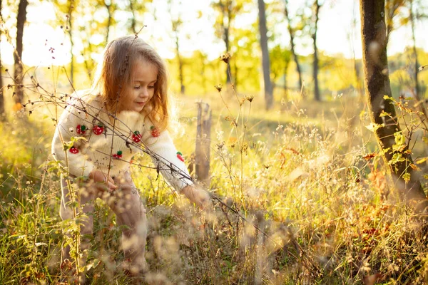 Little cute caucasian girl walking down the forest path in autumn sunny day, discovering nature — Stock Photo, Image