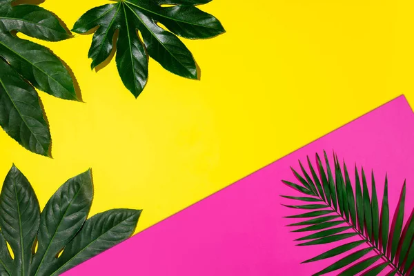 幾何学的な鮮やかな色の背景に熱帯の葉を持つ創造的なバナー。広告用チラシ、デザイン. — ストック写真