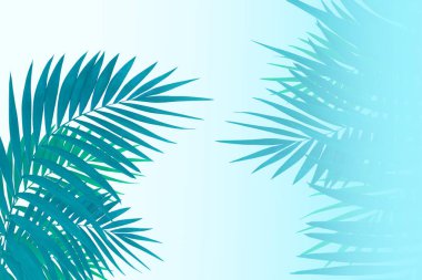 Beyaz arka planda izole edilmiş yaz tropik yaprakları. Tasarım broşürü. Reklam için kopyalama alanı.