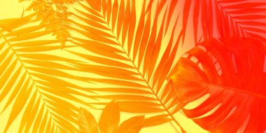 Parlak arka planda izole edilmiş egzotik yaprakları olan modern tropikal desen. Tasarım broşürü. Reklam için kopyalama alanı.