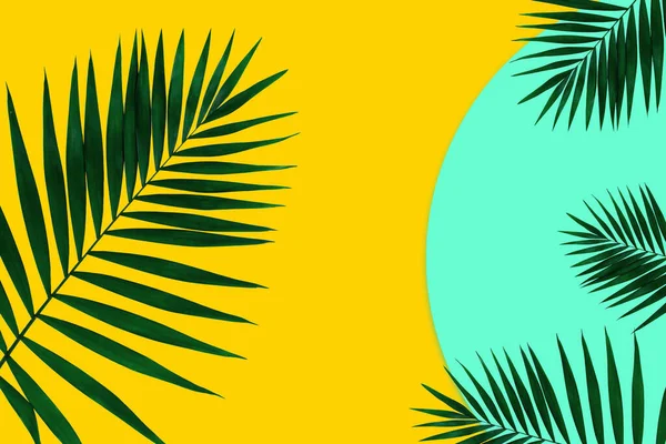 Creative banner with tropical leaves on geometric two colours yellow and blue background. Flyer for ad, design.