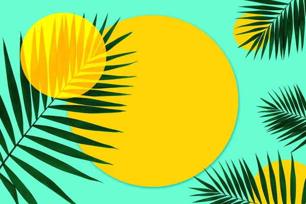 Banner creativo con hojas tropicales sobre fondo geométrico de dos colores amarillo y azul. Folleto de anuncio, diseño. —  Fotos de Stock