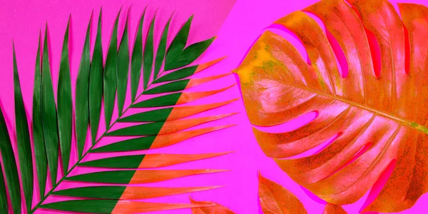 Moderna tropiska mönster med exotiska blad isolerade på ljus bakgrund. Flyer för design. Copyspace för annons. — Stockfoto
