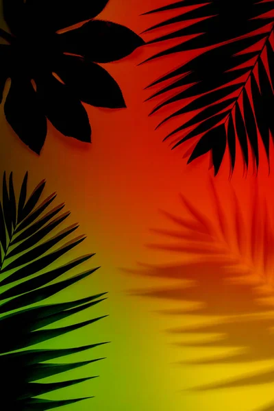Patrón tropical moderno con hojas exóticas aisladas sobre fondo brillante. Folleto de diseño. Copyspace para anuncio. —  Fotos de Stock