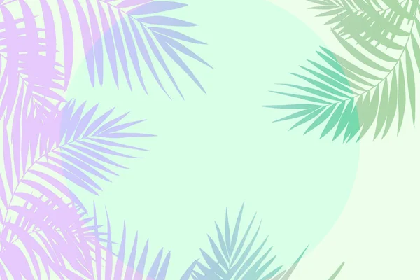 Letní tropické exotické listy izolované na bílém pozadí. Leták pro design. Kopírovací prostor pro reklamu. — Stock fotografie