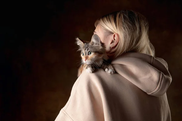 Renkli arka planda soyutlanmış genç bir kadının omzunda oturan küçük safkan bir kedi yavrusu. İlan ve tasarım broşürü. — Stok fotoğraf