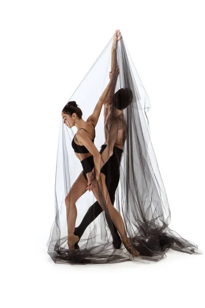 Graziosi ballerini di balletto classico che ballano isolati su sfondo bianco. La grazia, artista, movimento, azione e movimento concetto. — Foto Stock